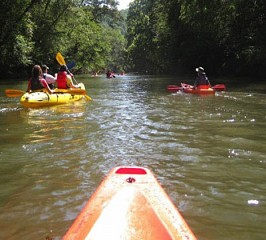 Kayaking, Chestatee, GA