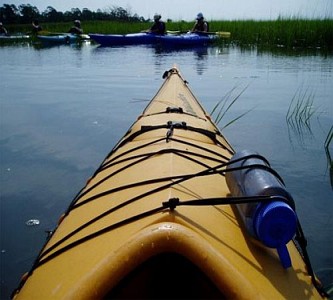 Marsh Kayaking, Savannah, GA